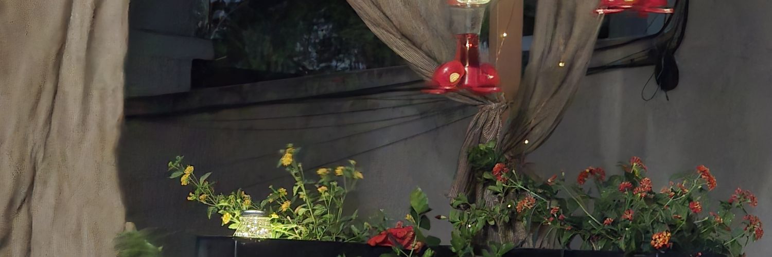 Tattisch's profile banner image
