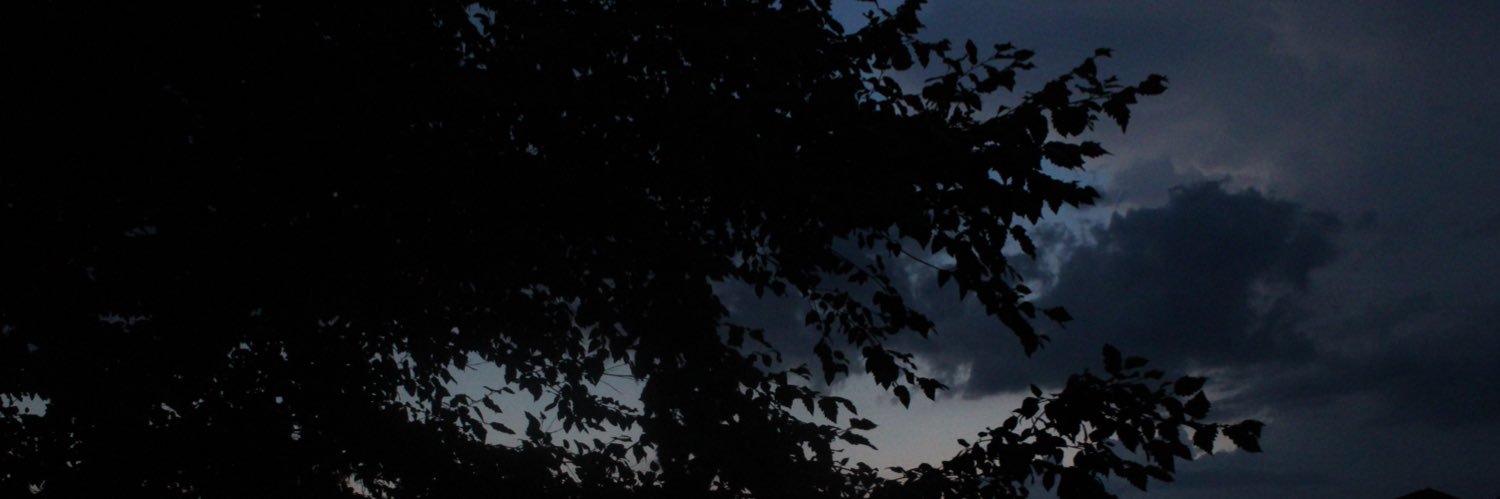 bieberxschmidt's profile banner image