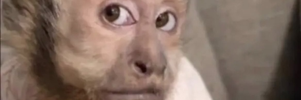 slickdadean's profile banner image