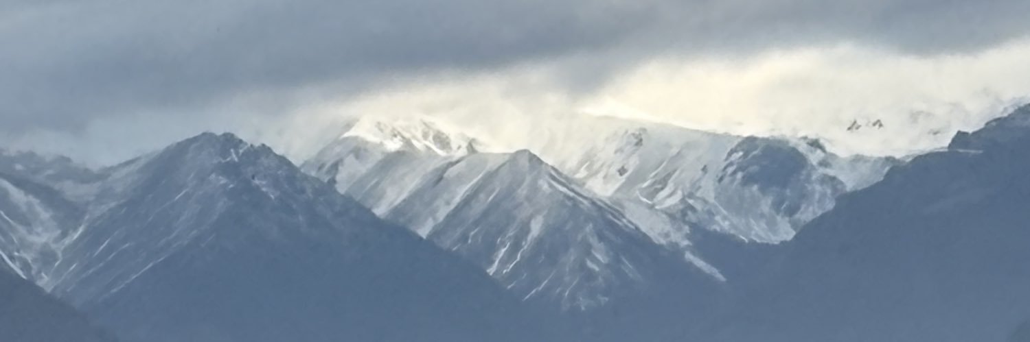 mfsara1982's profile banner image