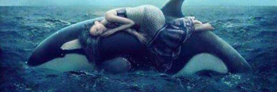 🕉💟 Love. 💟☮ banner