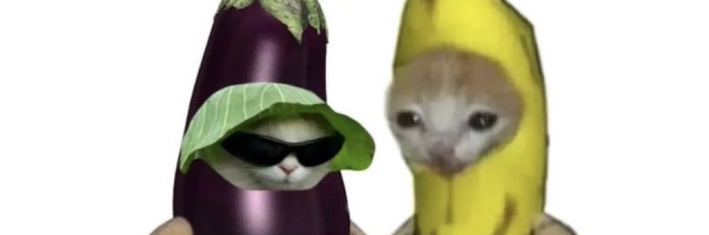 Bobillicious's profile banner image