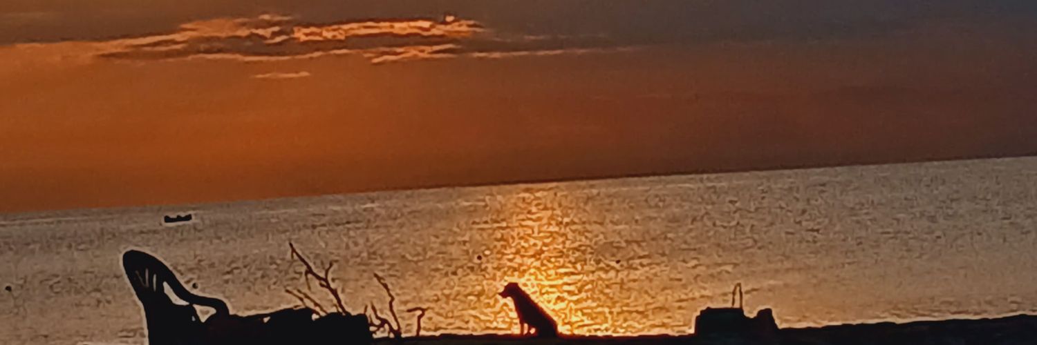 macacobaa's profile banner image