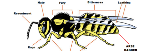 AnAngryWasp's profile banner image
