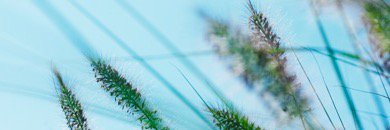 MJong100's profile banner image