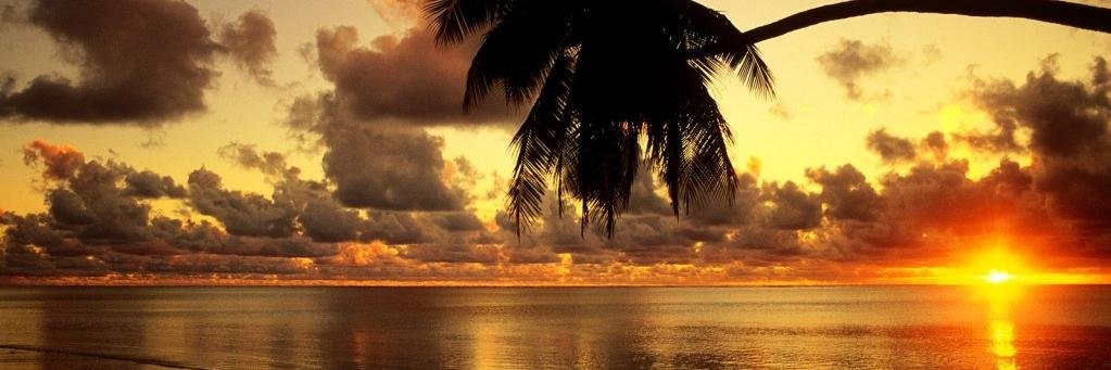 MilMejia7's profile banner image