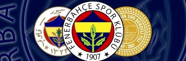 Emir Bulush banner