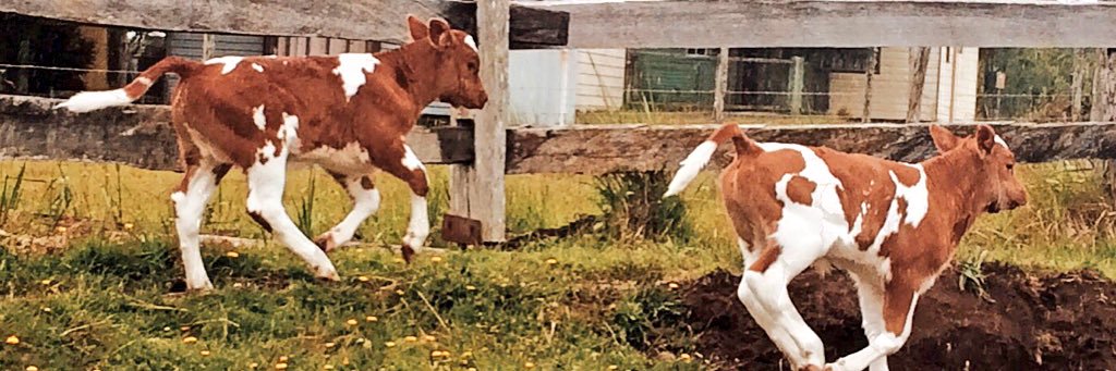 Maria Fradette banner