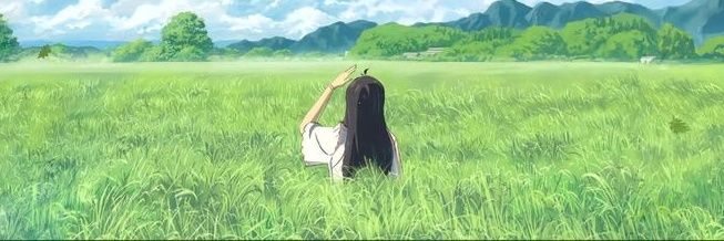 couy's profile banner image