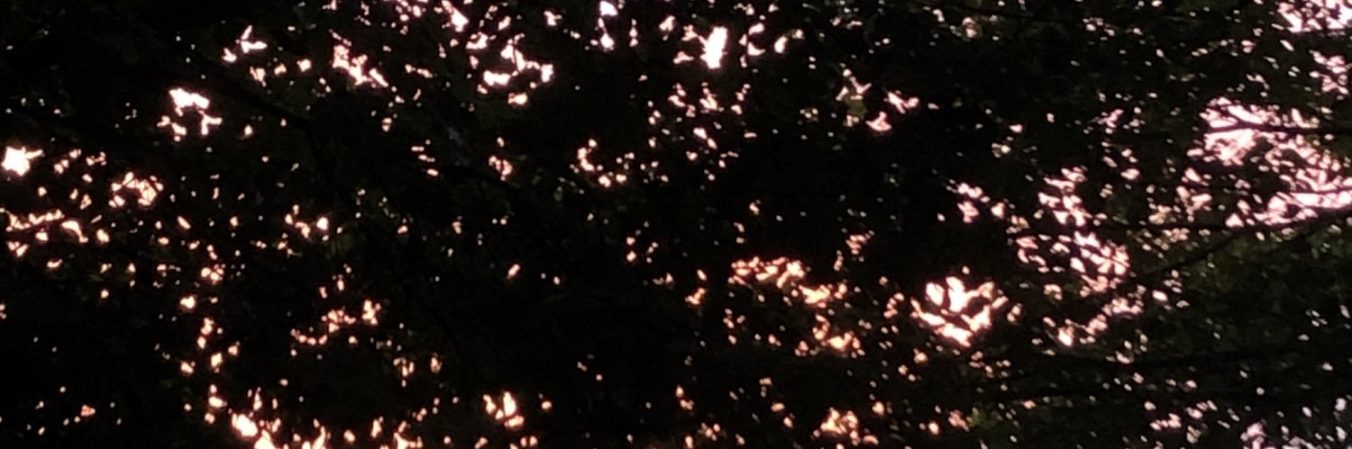 yearzero_'s profile banner image