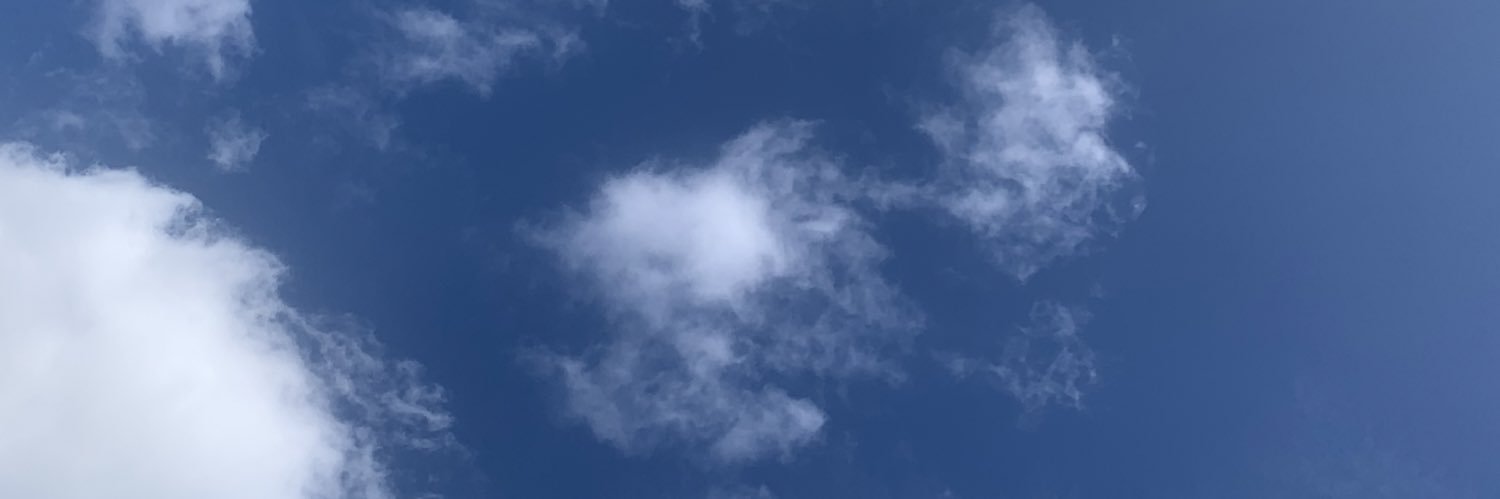 DManriquez96's profile banner image