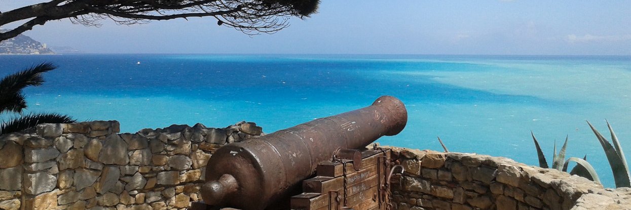 Alessandro Grasso 🐻 banner