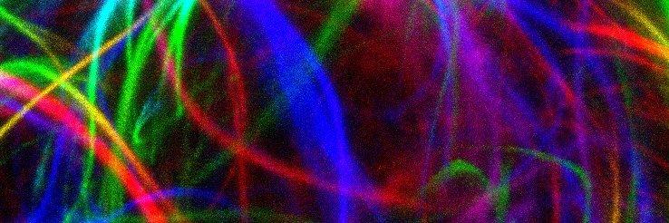 Charlotte Barker banner