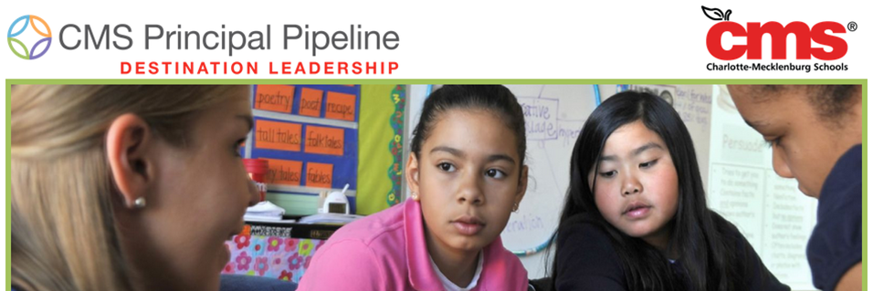 CMSPrincipalPipeline banner