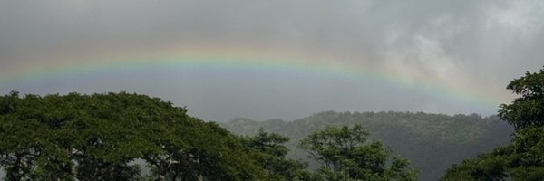 PhoenixLarisa Profile Banner