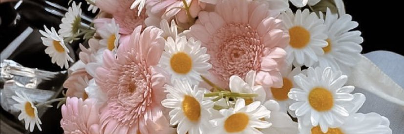 _katherinehart's profile banner image