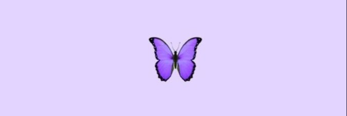 _florlarrondo's profile banner image