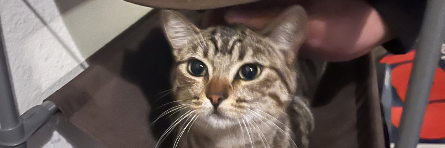 miichleee's profile banner image