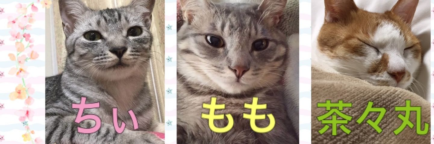 FukurinK's profile banner image