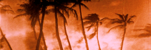 x file's banner