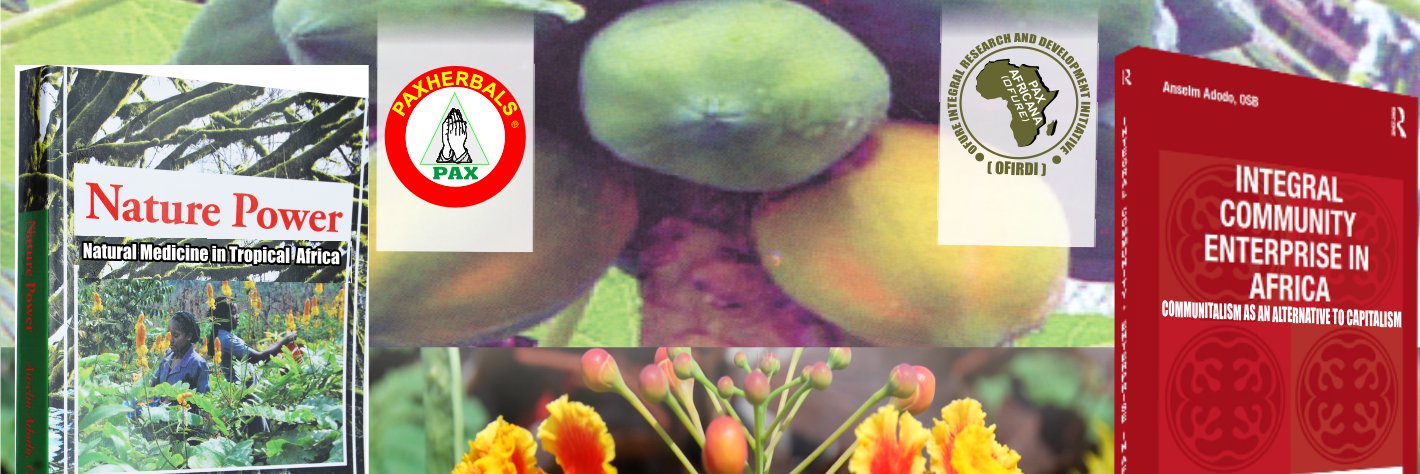 anselmadodo's profile banner image