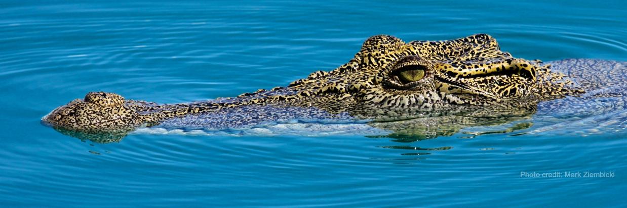 CoastalJCU's profile banner image
