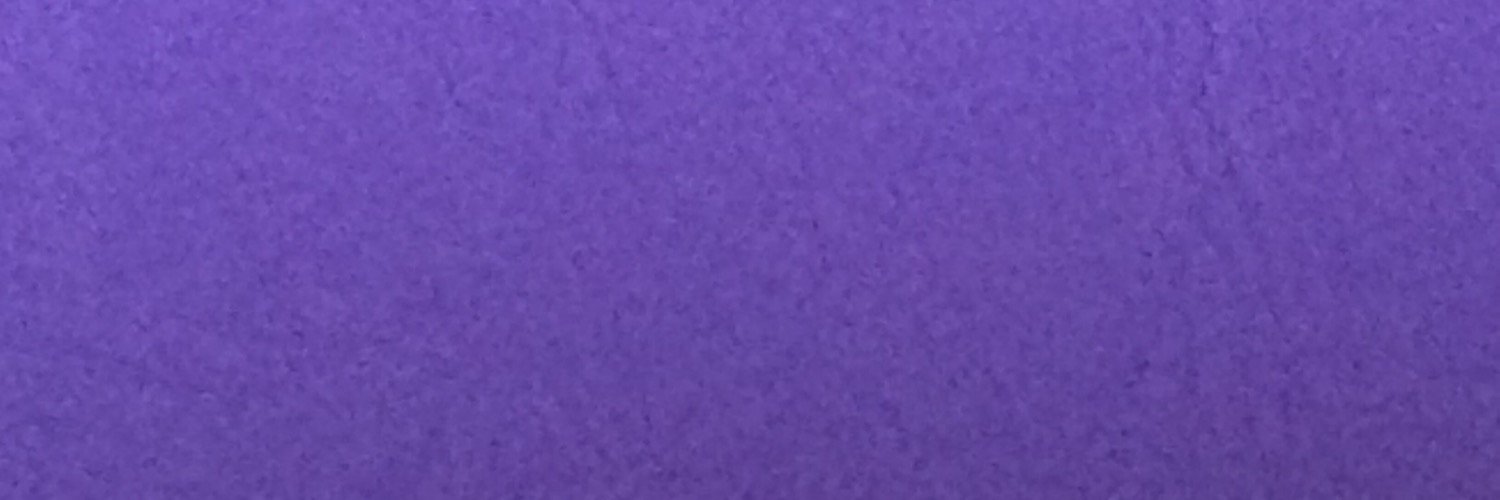 laizafn's profile banner image