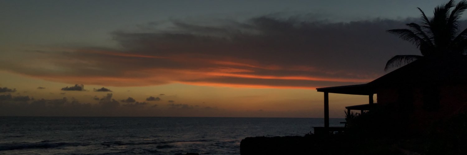 ashaahope's profile banner image
