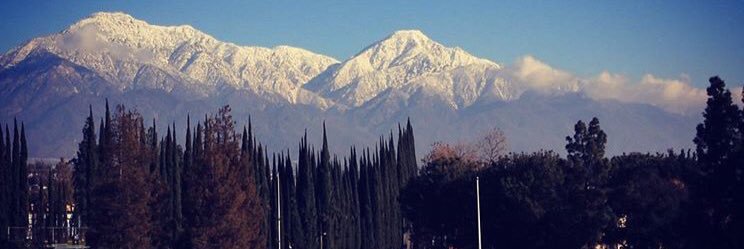 CMSWLax's profile banner image