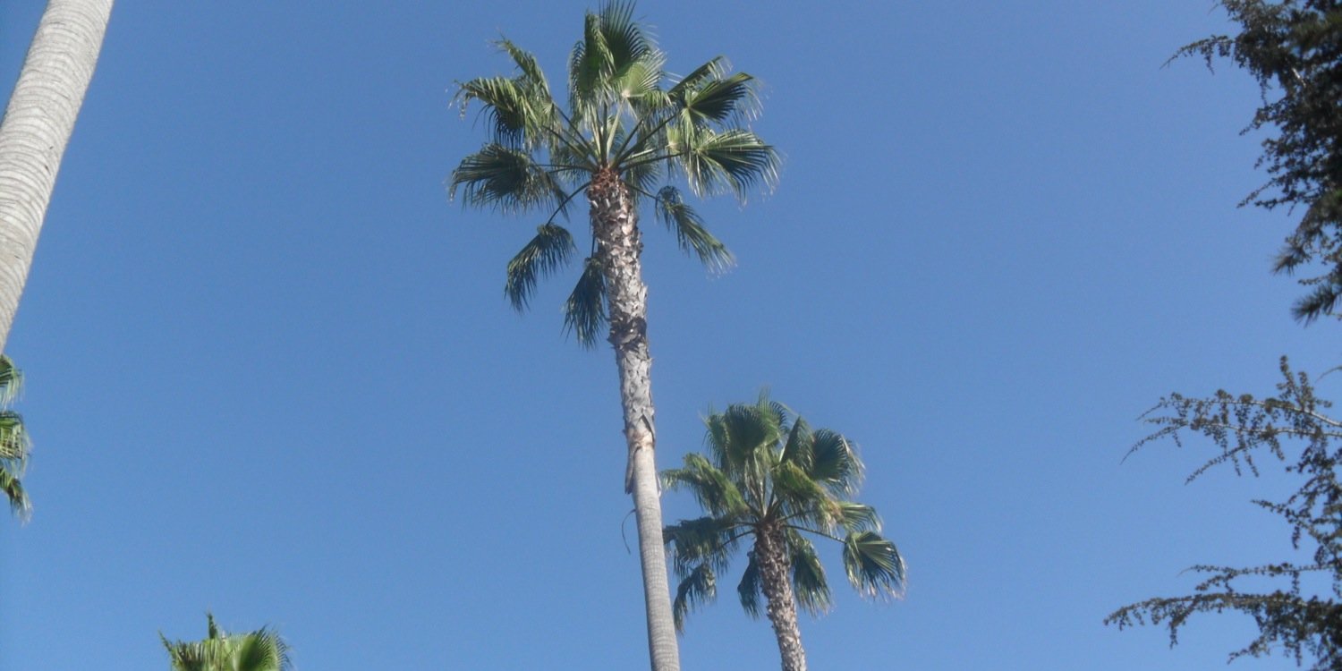 SefCarroll's profile banner image