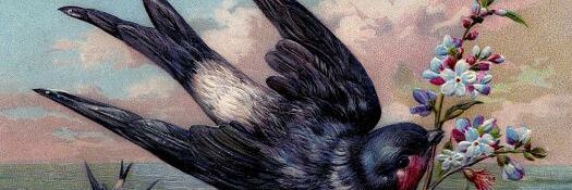FAITHFULLFAN's profile banner image