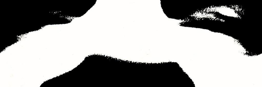 MartinCirilloX's profile banner image