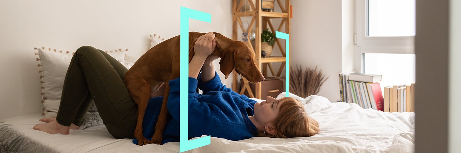 Intact Insurance Canada banner