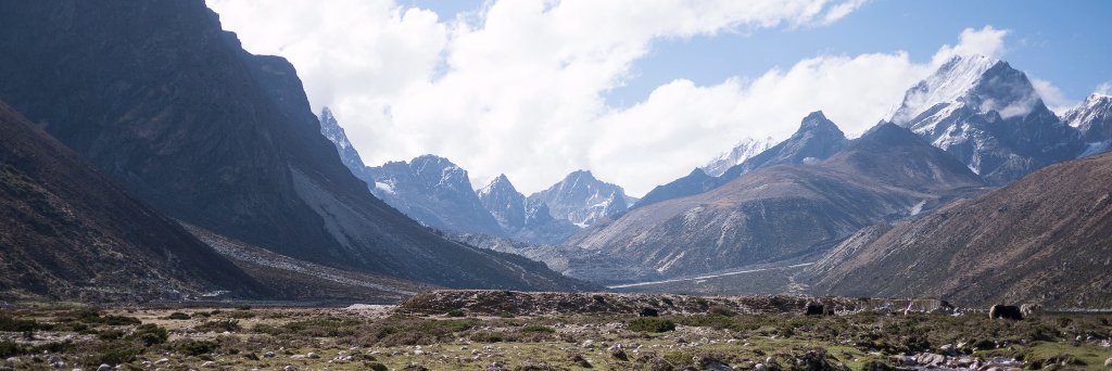 relevantsam's profile banner image