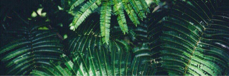 nastjaaz's profile banner image