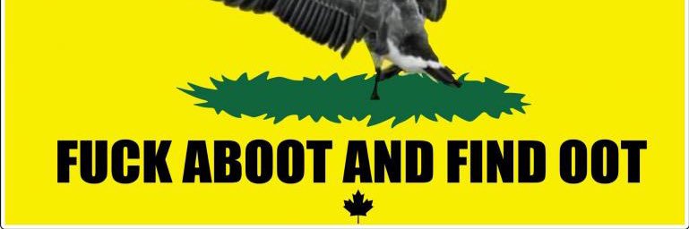 LisaLmbonin's profile banner image