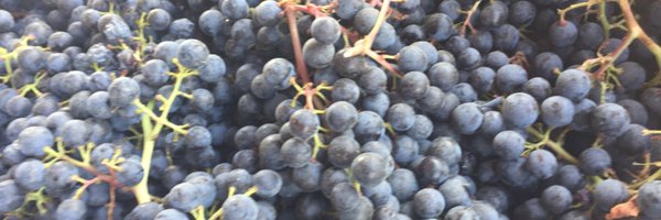 JessicaBryans Profile Banner