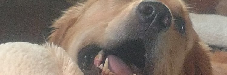 PAAAAAALL's profile banner image