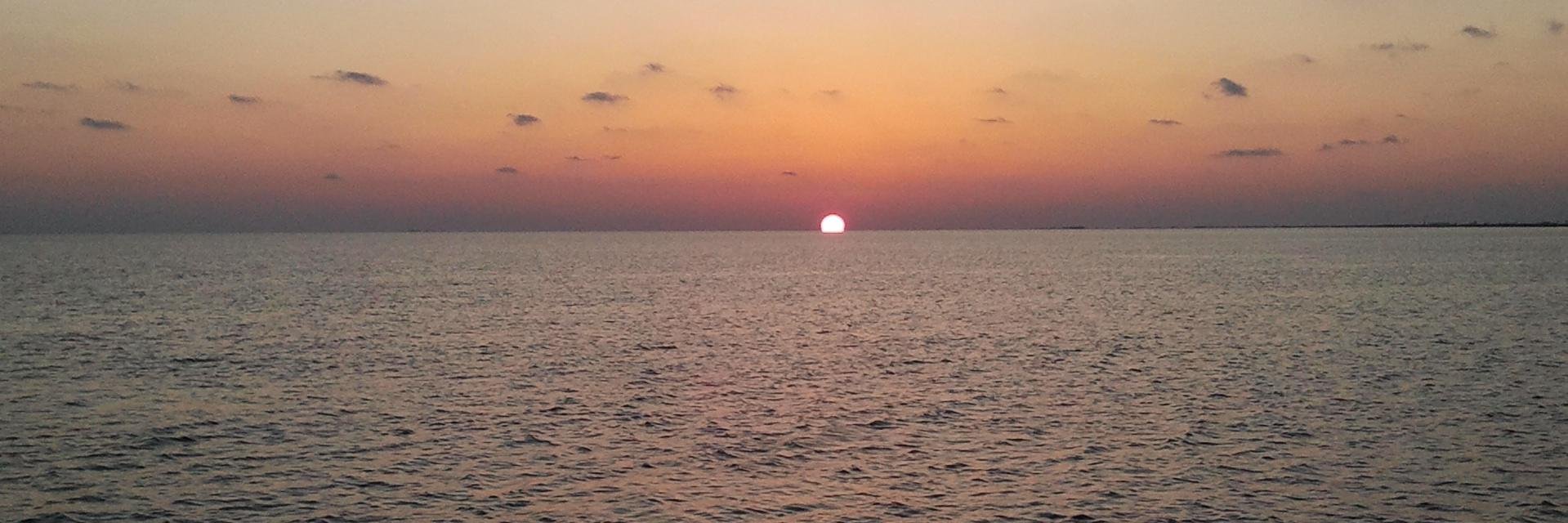 David Schmidt banner