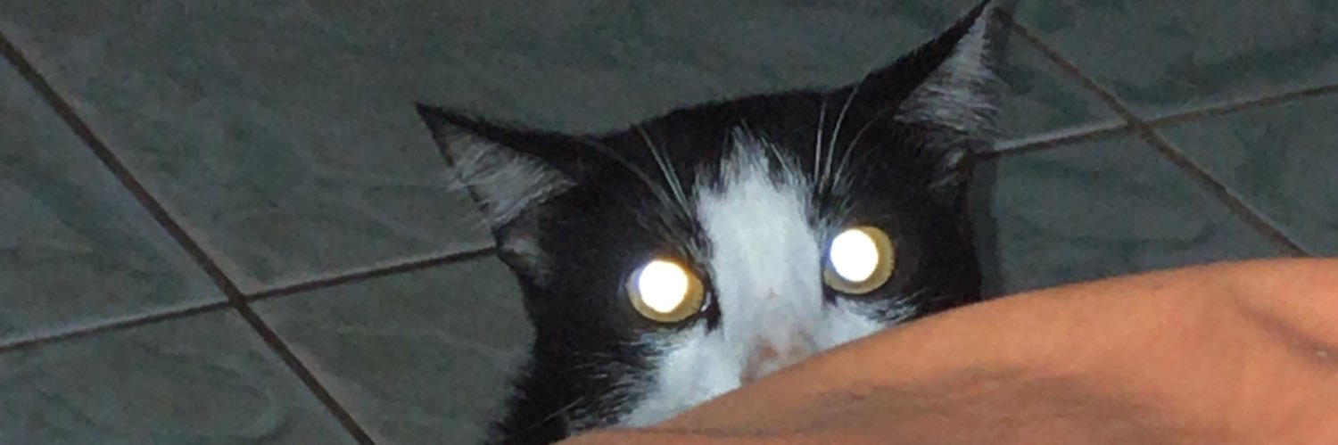 max_if's profile banner image