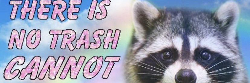 LaynaLandry's profile banner image