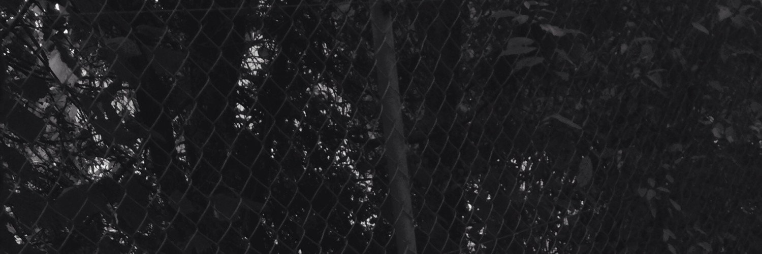 JayRPGLSD's profile banner image