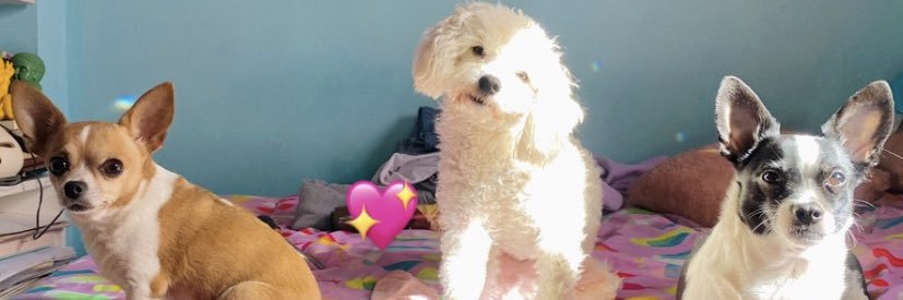 catadiazz22's profile banner image