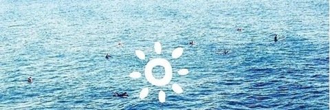 Working Bitch  banner