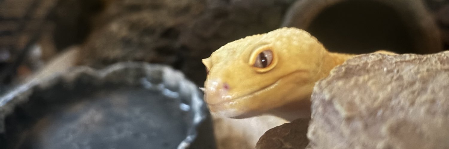 dudashisms's profile banner image