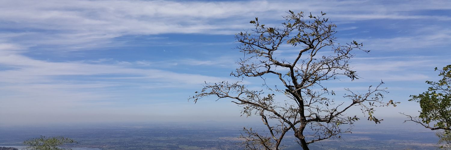 subburich's profile banner image