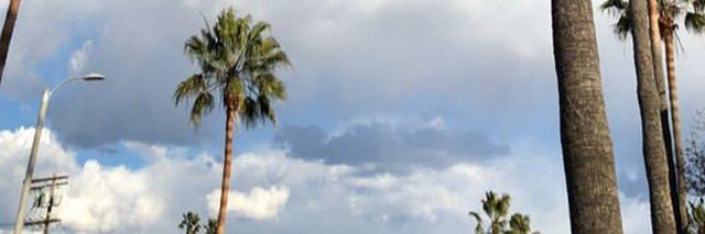 kancutekaa's profile banner image