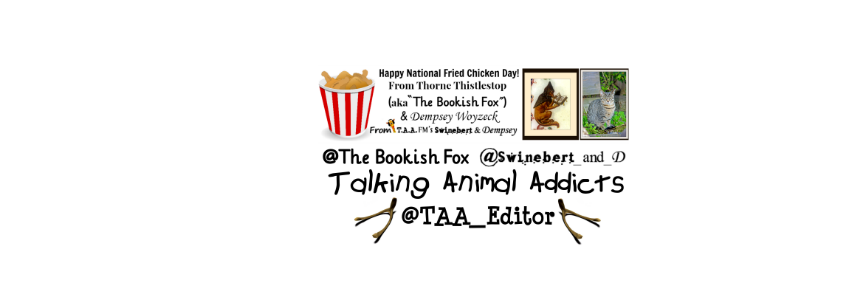 TheBookishFox's profile banner image