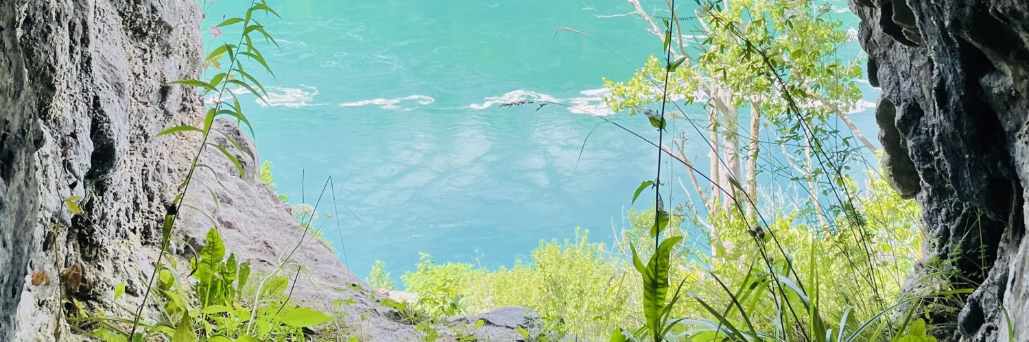 twitonit's profile banner image