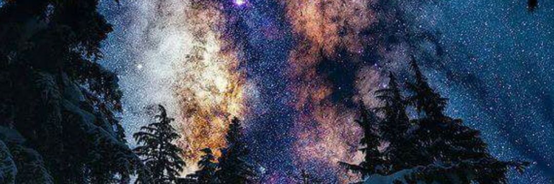 ChisholmDeonna's profile banner image